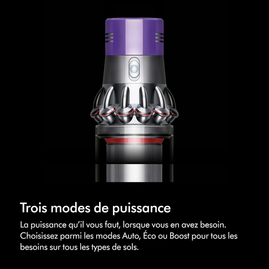 Dyson Cyclone V10 Absolute aspirateur sans Fil, 150 Airwatts, 60 Min d’autonomie – Technologie Anti-emmêlement, Brosse Fluffy pour sols durs