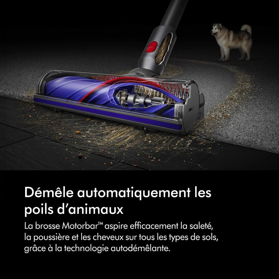 Dyson V8 Absolute Aspirateur sans Fil, 115 AW, Jusqu’à 40 Min d’autonomie, Brosse Motorbar Anti-enchevêtrement