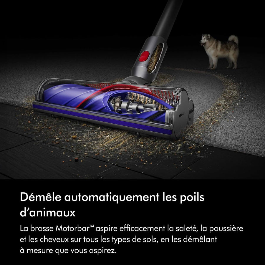 Dyson V8 Advanced Aspirateur sans Fil, 130 AW, Jusqu’à 40 Min d’autonomie, Brosse Motorbar Anti-enchevêtrement