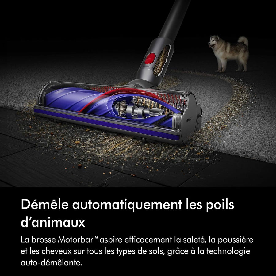 Dyson V8 Origin Aspirateur sans Fil, 115 AW, Jusqu’à 40 Min d’autonomie, Brosse Motorbar Anti-enchevêtrement, aspirateur à Main et Sol