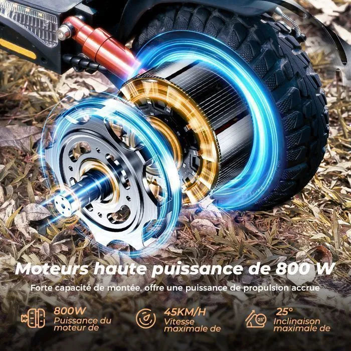 Trottinette Electrique iScooter ix4 Pour Adulte 150kg Puissante 800W 10" avec APP 48V15 Ah Autonomie Maxi 45 Km